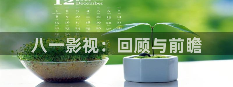 桃子的价格：八一影视：回顾与前瞻