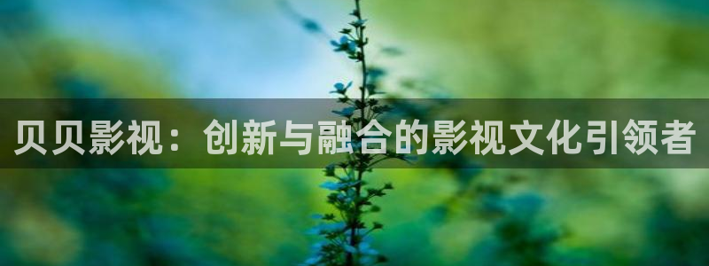 桃子电影高清完整版